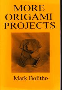 More Origami Projects