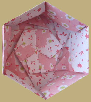 Hexagon Box Body