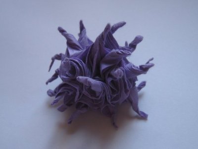 Atlantic Purple Sea Urchin (video)
